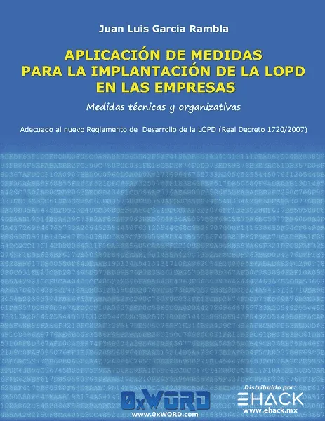 Aplicación de medidas para la implantación de la L.O.P.D. en las empresas