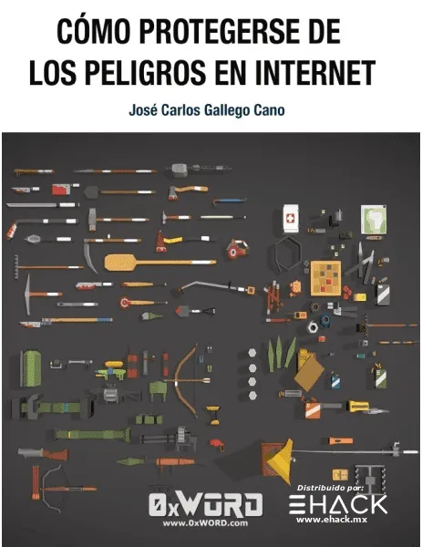 Como protegerse de los peligros de Internet